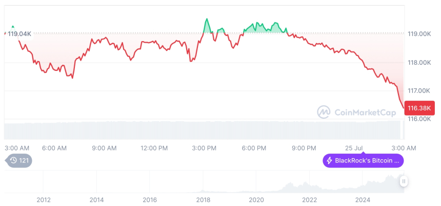  [오후 시세브리핑] 암호화폐 시장 하락세… 비트코인 116,403달러, 이더리움 3,618달러