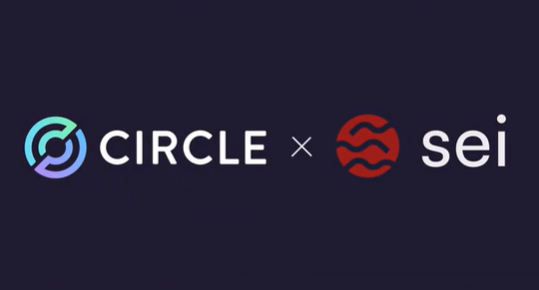  USDC, 세이네트워크서 네이티브 지원…글로벌 송금·앱 활용 가능