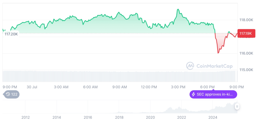  [모닝 시세브리핑] 암호화폐 시장 혼조세… 비트코인 117,115달러, 이더리움 3,769달러