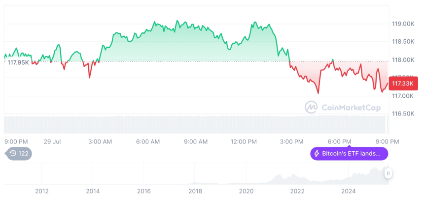  [모닝 시세브리핑] 암호화폐 시장 하락세… 비트코인 117,384달러, 이더리움 3,763달러