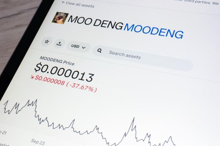 피그미 하마 무뎅 생일 맞아 밈코인 MOODENG 17% 급등