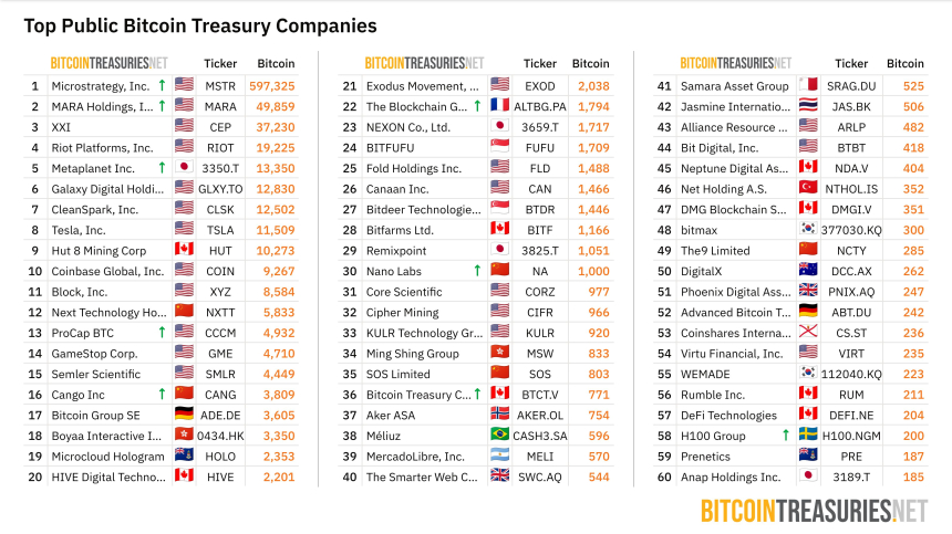  [BTC 기관 트래커] 비트코인 보유량 348만 BTC…기관 수 252곳으로 증가