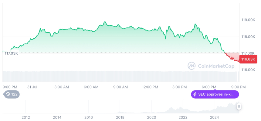  [모닝 시세브리핑] 암호화폐 시장 혼조세… 비트코인 116,502달러, 이더리움 3,736달러