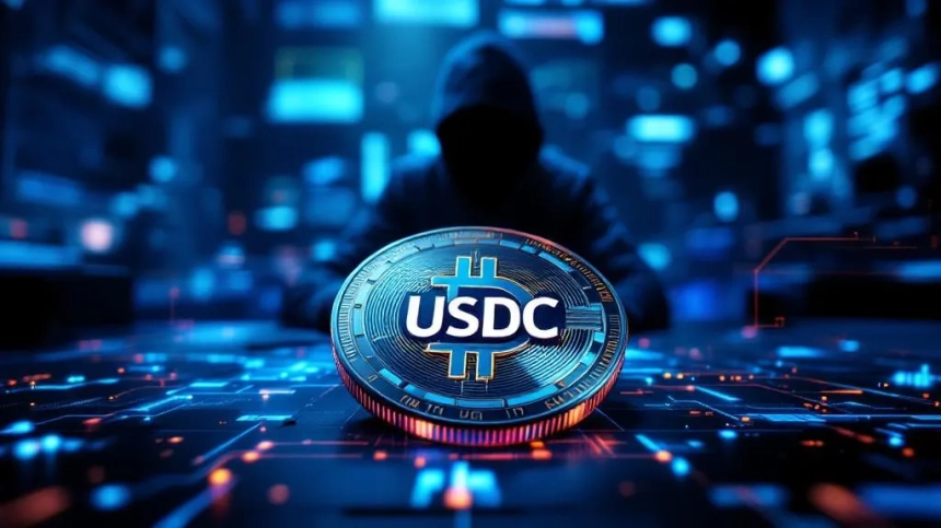 “北 IT인력, 수천만 달러 규모 USDC로 임금 수령” 지적