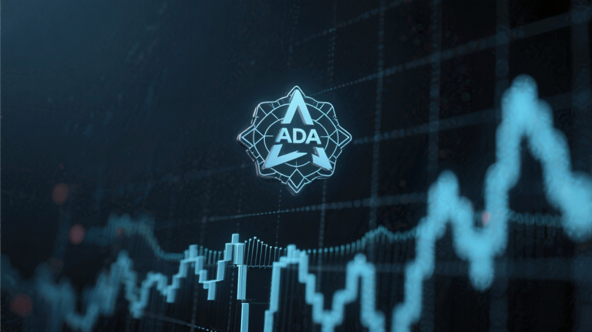  에이다($ADA), 롱 청산 91억 쏟아졌는데도 강세... 공매도는 '무풍지대'