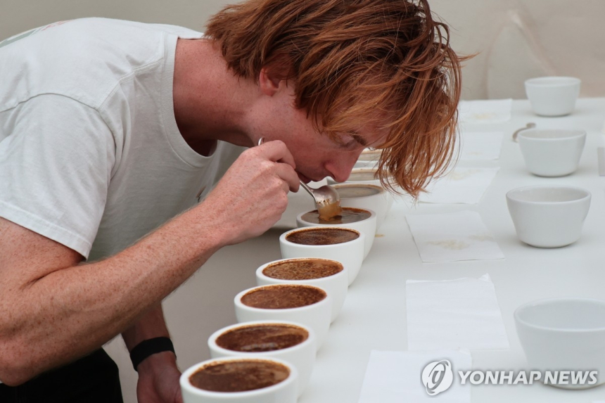  게이샤 커피, 1kg에 4천200만 원…‘신의 커피’ 사상 최고가 기록