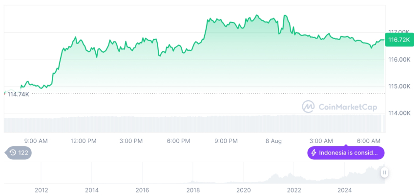  [저녁 시세브리핑] 암호화폐 시장 혼조세… 비트코인 11만6천 달러, 이더리움 3,900달러