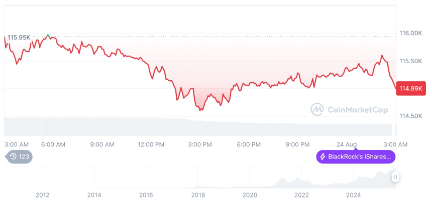  [오후 시세브리핑] 암호화폐 시장 혼조세… 비트코인 11만4972달러, 이더리움 4773달러