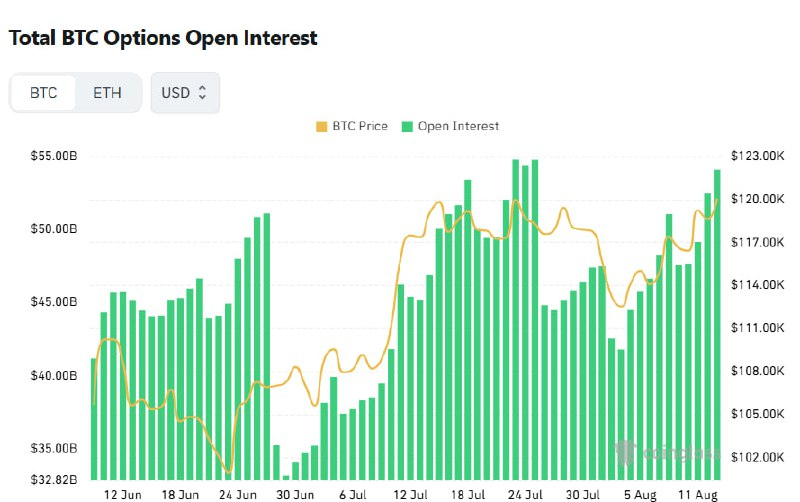 [비트 옵션 데일리] 미결제약정 541억 달러…14만 달러 콜옵션 주목