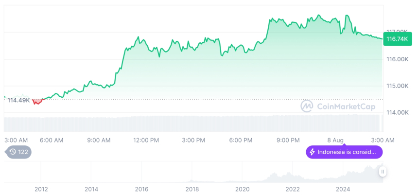  [오후 시세브리핑] 암호화폐 시장 혼조세… 비트코인 11만6천달러, 이더리움 3,896달러