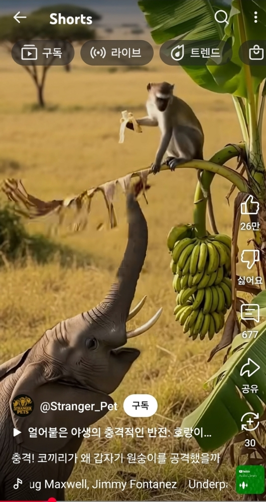  AI 쇼츠, 유튜브 장악… ‘할머니 영상’도 1,600만뷰 돌파