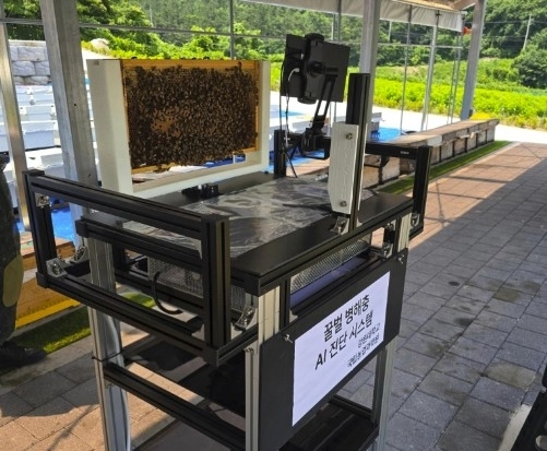 AI가 지킨다…국산 '비전(BeeSion)', 꿀벌 질병 30초 만에 진단