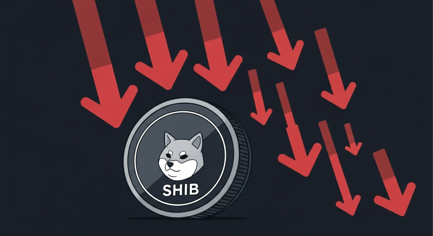 시바이누($SHIB), 핵심 지지선 위협…추가 하락 경고음 커져