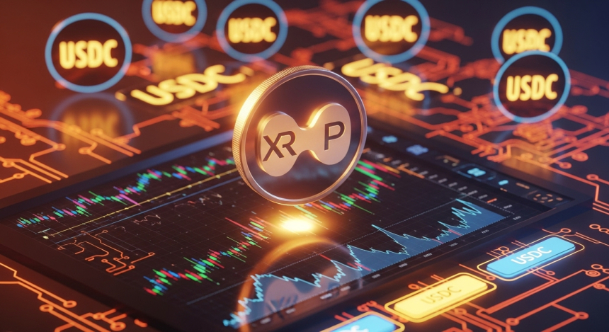 바이낸스, XRP부터 BNB까지 주요 알트코인 거래 수수료 전액 면제