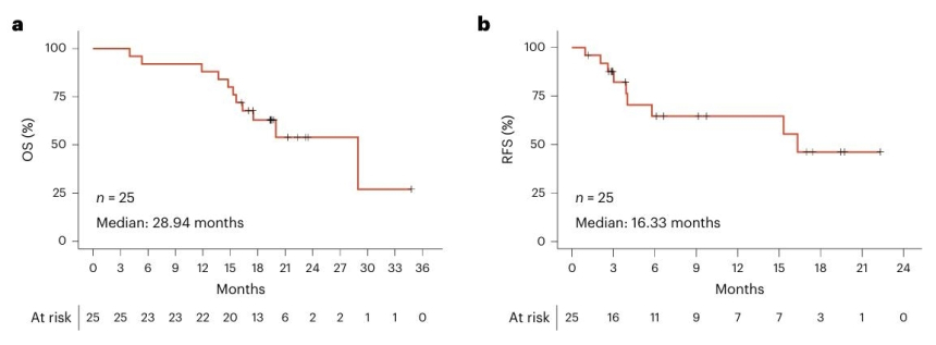  췌장암·결장암 생존율 높인 'KRAS 백신'… 림프절 정조준해 면역폭발