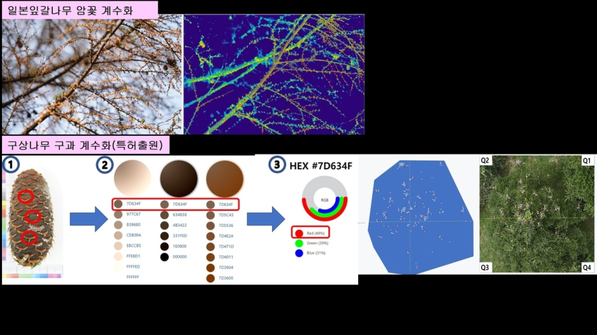  AI로 산림종자 예측한다… 드론 앞세운 '디지털 임업혁신'