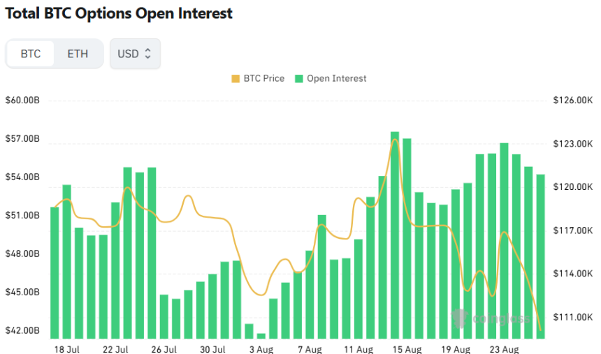 [비트 옵션 데일리] 미결제약정 542억 달러…콜옵션 강세 속 거래량 71억 달러 회복세