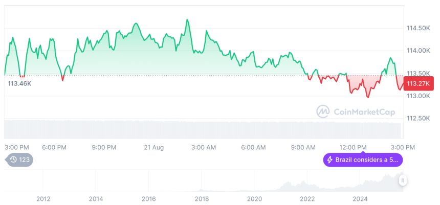  [자정 시세브리핑] 암호화폐 시장 혼조세… 비트코인 113,273달러, 이더리움 4,271달러