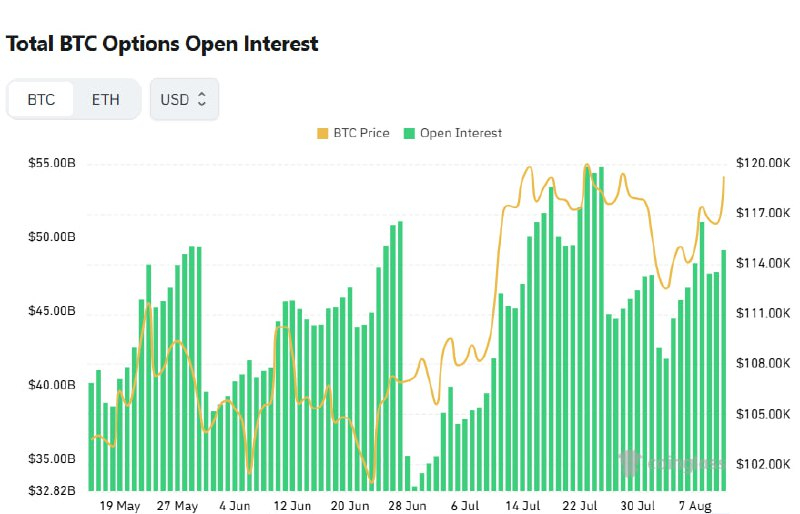  [비트 옵션 데일리] 미결제약정 491억 달러…콜옵션 우위 지속