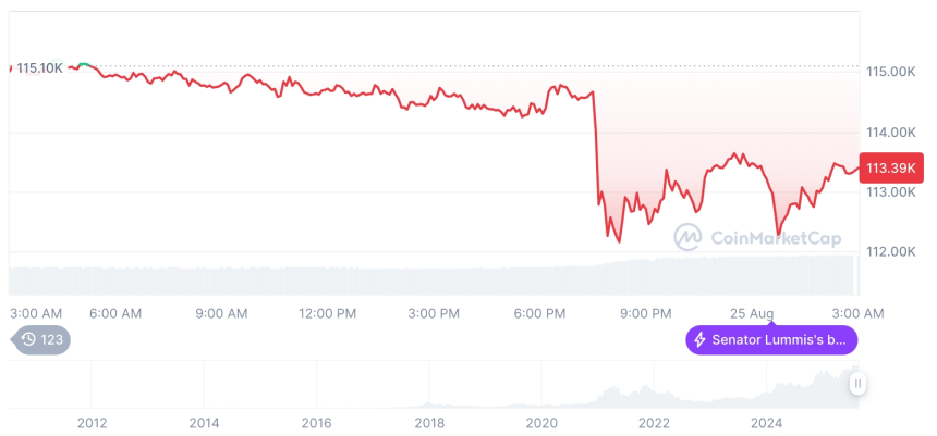  [오후 시세브리핑] 암호화폐 시장 혼조세… 비트코인 11만3,394달러, 이더리움 4,765달러