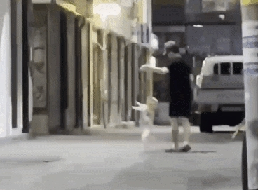  14살 반려견 공중에 흔든 학대 영상에 공분…30대 남성 입건