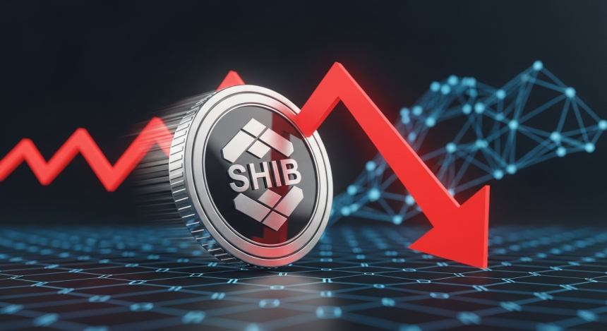시바이누(SHIB), 거래량·활동성 급감…단기 하락 우려 vs 반등 신호 혼재