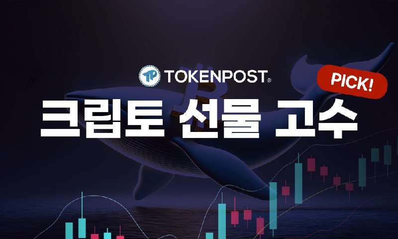 [선물 고수 PICK] TUT·MORPHO, 달러 마진 최고 롱 비중 기록…상위 트레이더가 집중한 종목은?