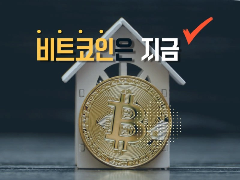 [비트코인은 지금] 거래량 21% 급증·구글 관심도 '100'…도미넌스는 3.9%p 급락