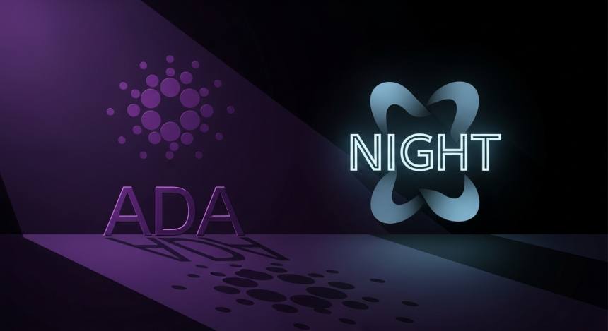  카르다노($ADA), 에어드롭 효과로 사용자 폭증…가격도 일주일간 13% 상승