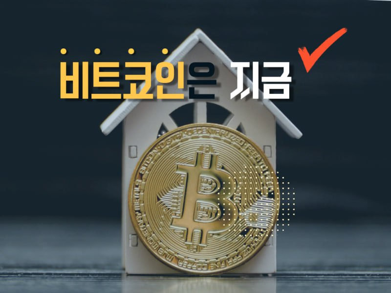  [비트코인은 지금] 비트코인 거래량 늘었지만 지갑 수는 급감...매수세 회복 vs 투심 위축 혼재