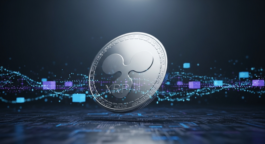 리플(XRP) 2,500만 개 이동…'고래 유입' 아냐, 내부 지갑 이전 해프닝