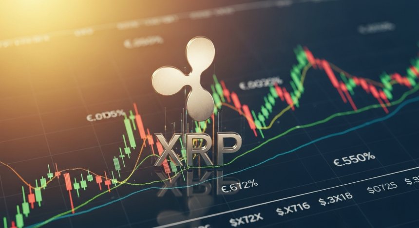 리플(XRP) CTO 