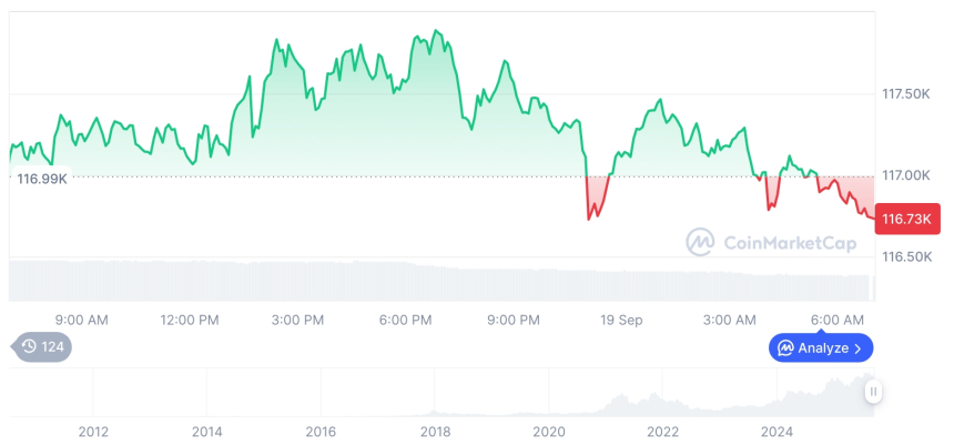  [저녁 시세브리핑] 암호화폐 시장 하락세… 비트코인 116,784달러, 이더리움 4,525달러