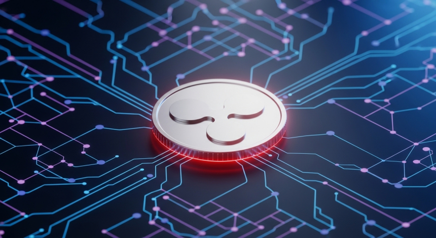  XRP, 소각률 '제로'…디플레이션 효과 대신 네트워크 유틸리티 강조