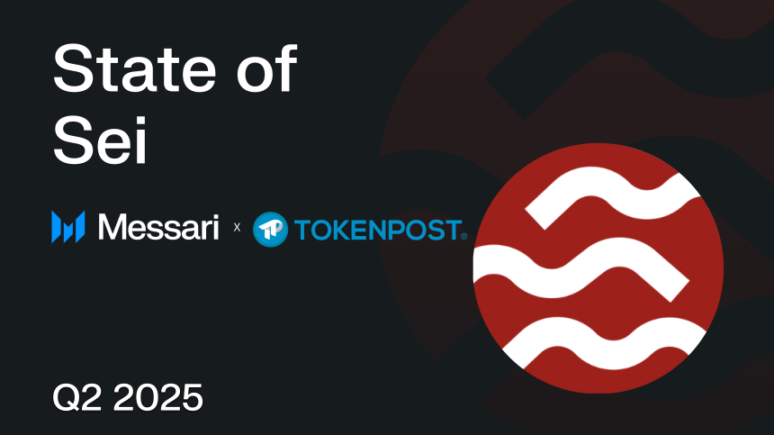  세이(SEI), 사상 최대 트랜잭션과 TVL 기록…“레이어-1 주류 진입 임박” - 메사리 리서치