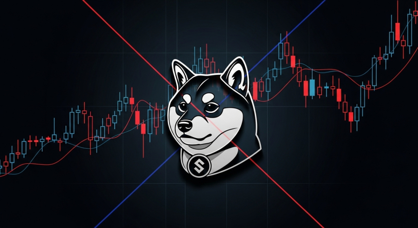  시바이누(SHIB), 7개월 만에 다시 데스 크로스…하락장 경고등 켜졌다