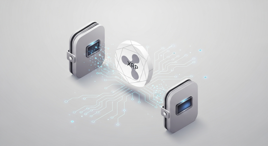  XRP 141.8M개 이체…리플 루머 불거졌지만 크라켄 내부 이동 확인