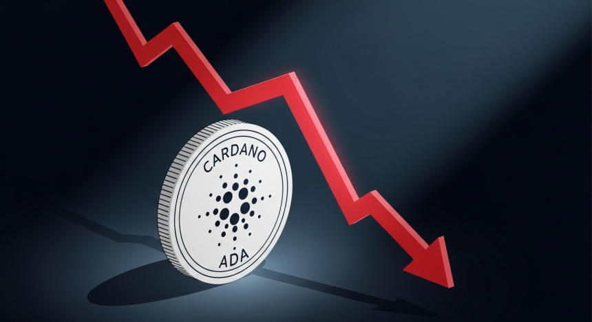  카르다노(ADA), 고래 매도에 0.80달러 지지선 위협…거래량 14% 급감