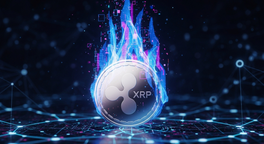  리플, RLUSD 600만 개 소각…가치안정·시장신뢰 확보 전략