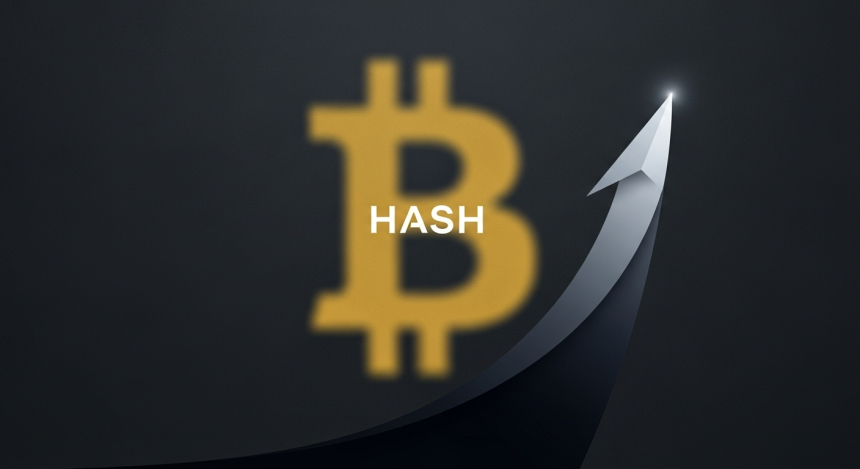  비트코인, 11만 3,000달러 재도전 실패…HASH 등 중소형 알트코인 급등