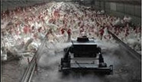  정부, 국산 AI 반도체로 스마트 헬멧·드론 개발 본격화…공공안전 혁신 시동