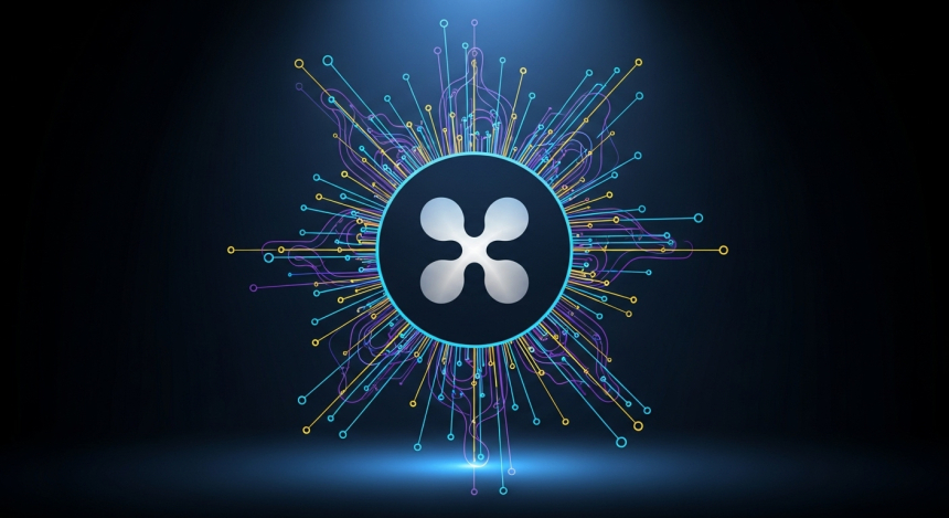  XRP는 '컬트'가 아니다…노보그라츠의 고백과 리더십 재조명