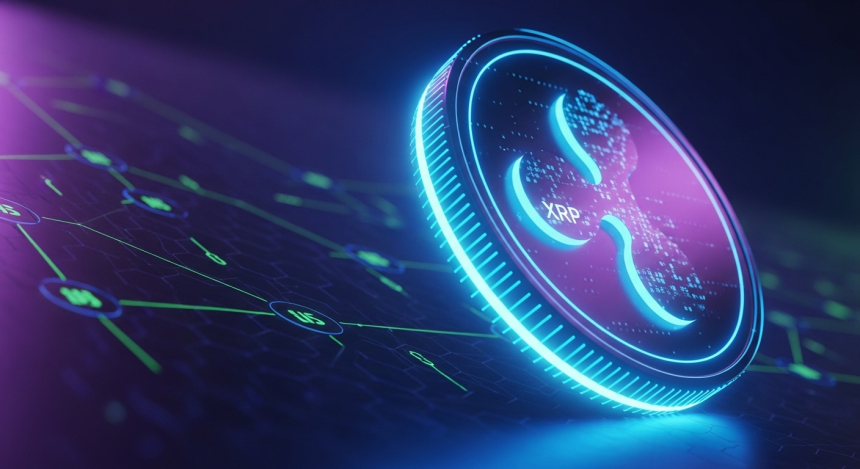  리플(XRP) 보유량 2억 개↑…투명성 논란에도 자산 운용 강화 신호