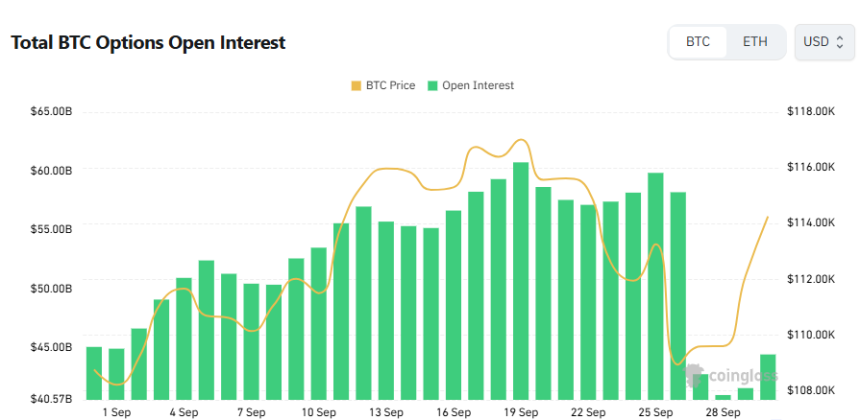  [비트 옵션 데일리] 미결제약정 전일比 6% 증가…콜옵션 비중 61% '강세'