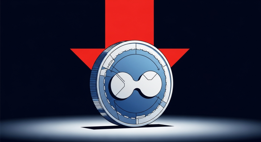  리플(XRP), 하루 만에 903% 청산 불균형…기관 매집 설에 관심 집중