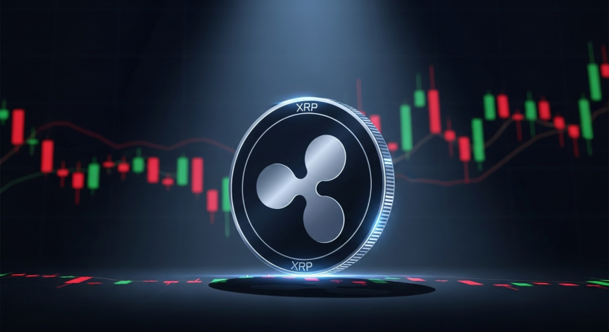  리플(XRP), 단기 반등에도 '진짜 바닥 없다'…기술적 분석 경고 신호
