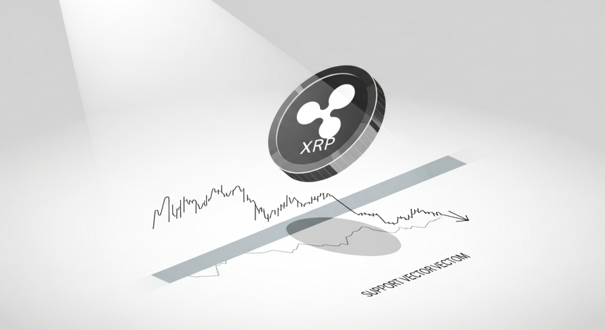  리플(XRP), 3.65달러 고점 찍고 조정…지지선 무너지면 '강세장 종료' 경고