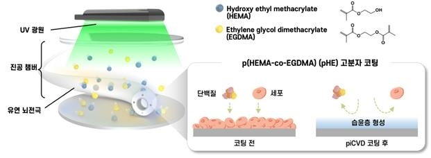  국내 연구진, 뇌 전극 수명 3배↑ 혁신 기술 개발… 염증 반응 60% 감소