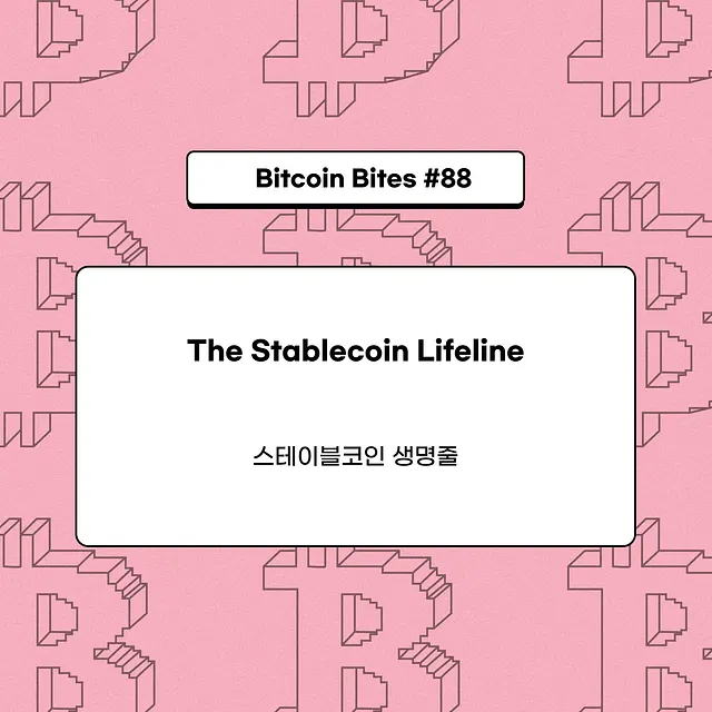 스테이블코인이 알트체인의 생명선이 되다…코인이지, 생존 조건 분석