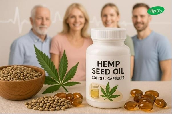  알피바이오, 대마종자유 연질캡슐 상용화…고기능 건강식품 시장 본격 진출